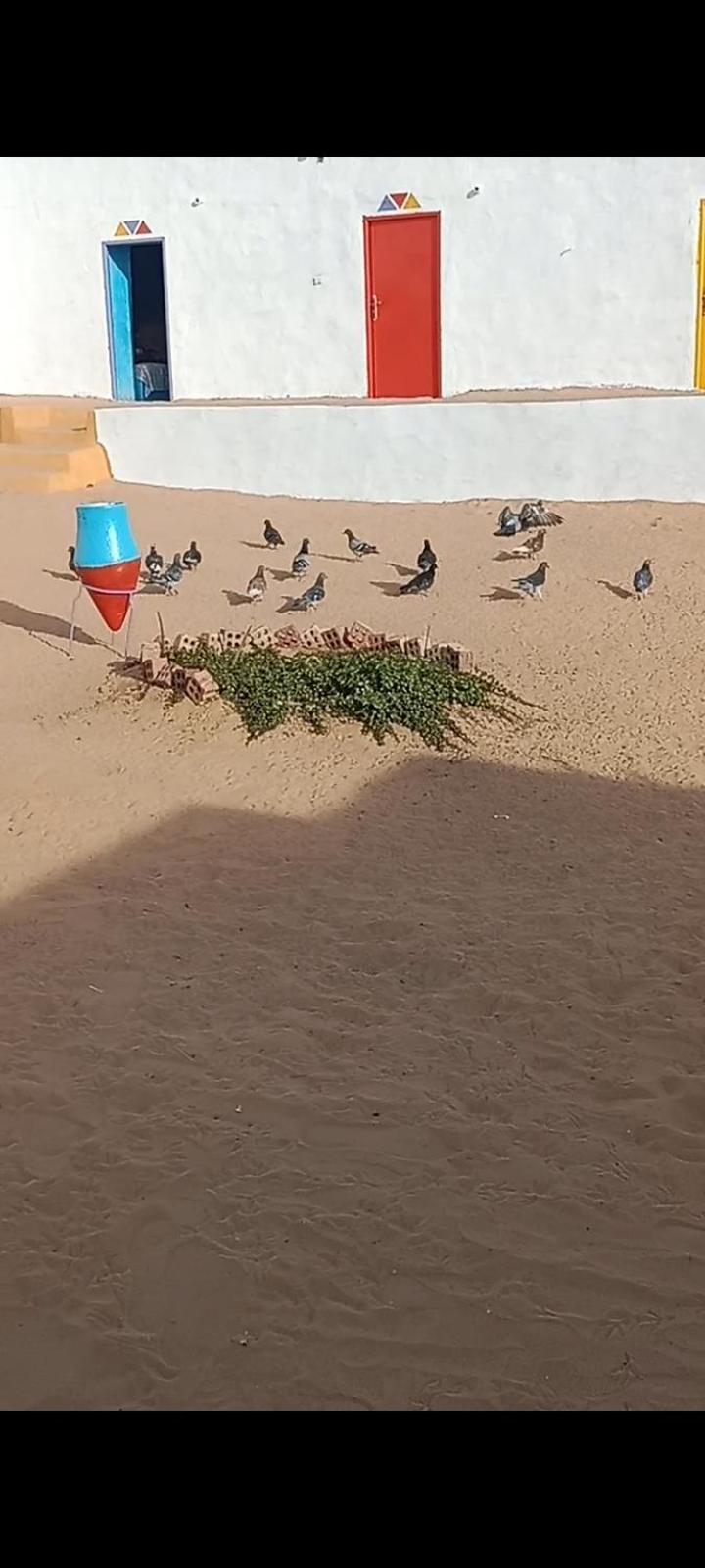 بيت شمس Aswan Bagian luar foto